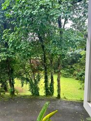 Thomson Road (D11), Detached #498337171